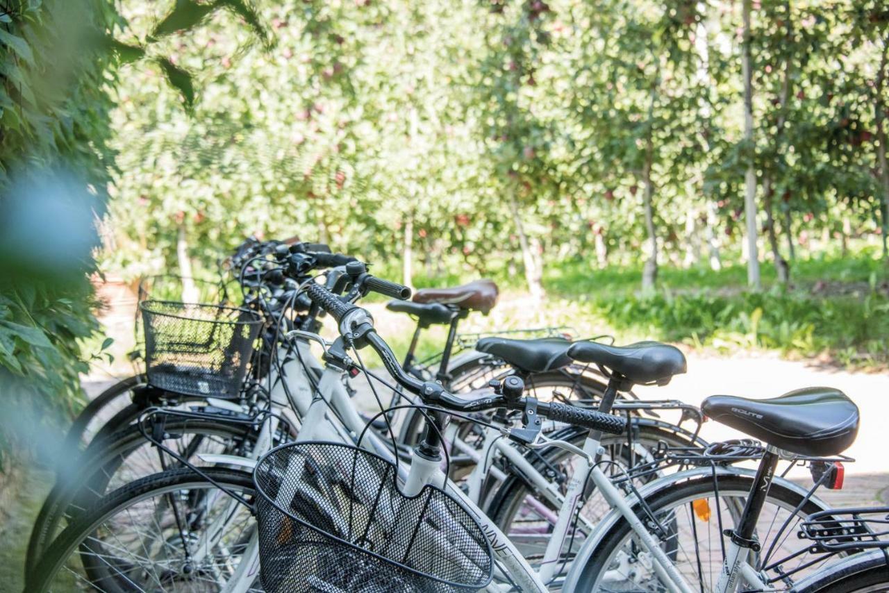 Gartenhof Μπρεσανόνε Εξωτερικό φωτογραφία